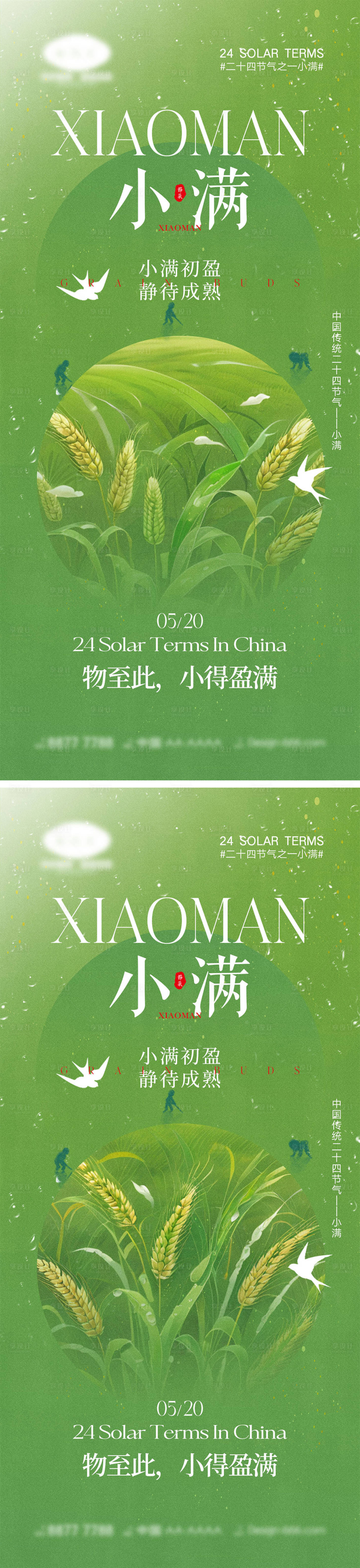 源文件下载【小满节气海报】编号：62140023562607147