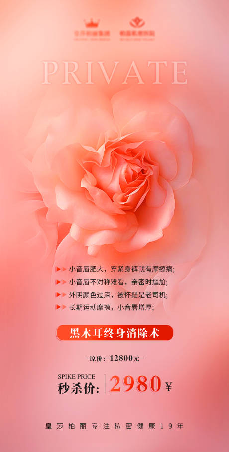 源文件下载【私密海报】编号：63420023215072956