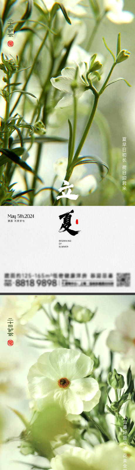 源文件下载【立夏小满节气系列海报】编号：95880023162803829