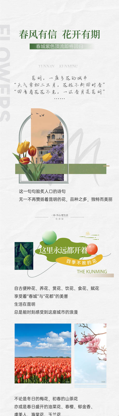 源文件下載【春城藍花楹長圖】編號：79440023296283229