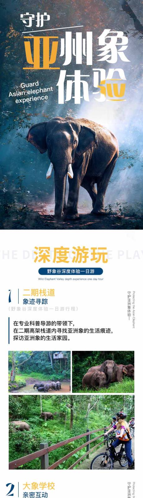 源文件下载【亚洲象体验】编号：90550023387538705