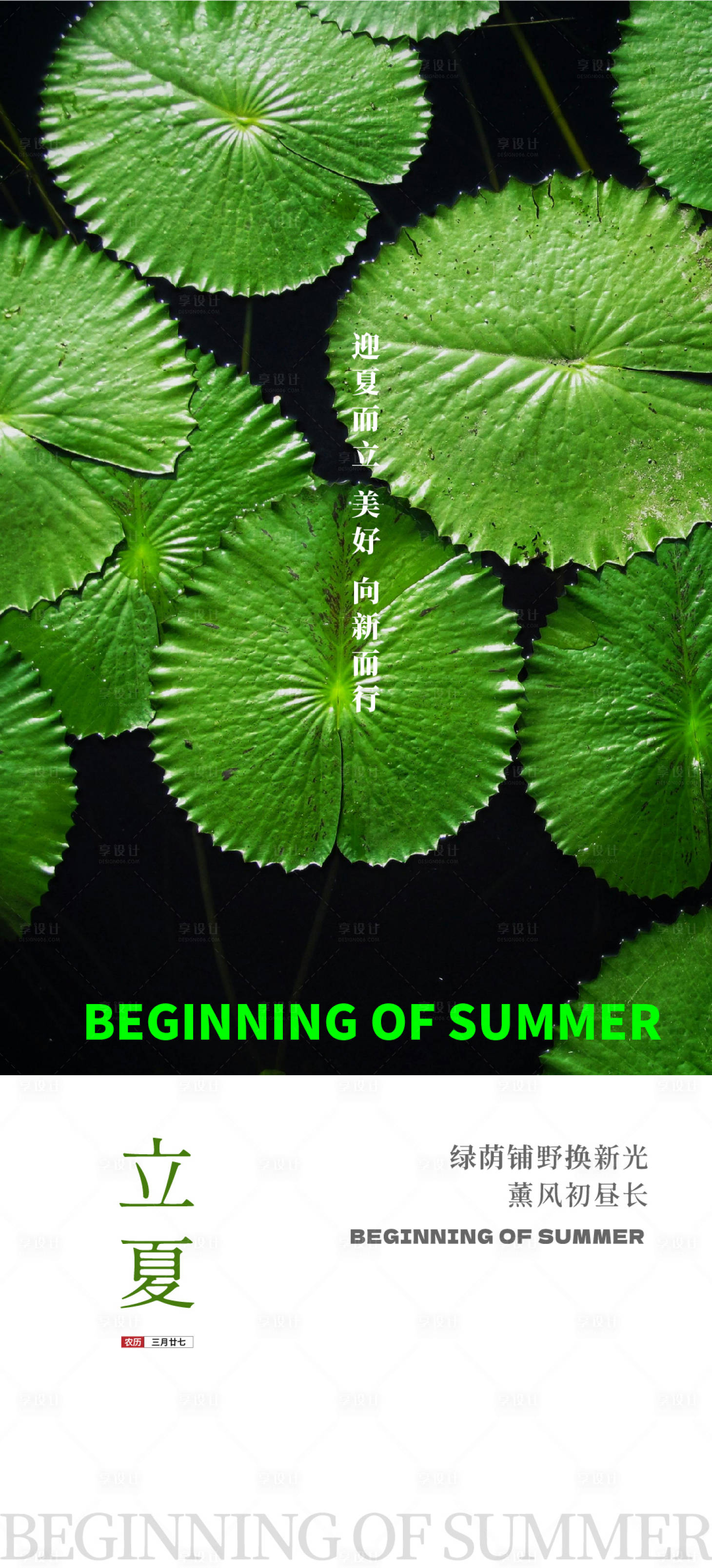 源文件下载【立夏节气海报】编号：90750023636065734