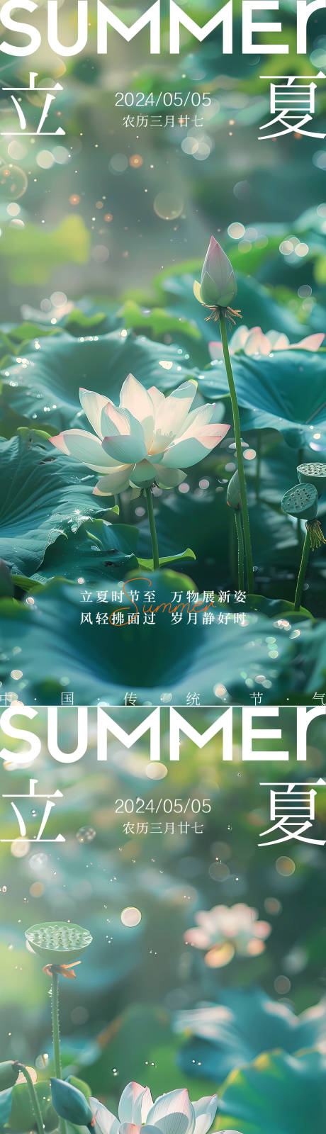 源文件下载【享设计】搜索编号：13750023641087121【立夏荷花节气简约海报】