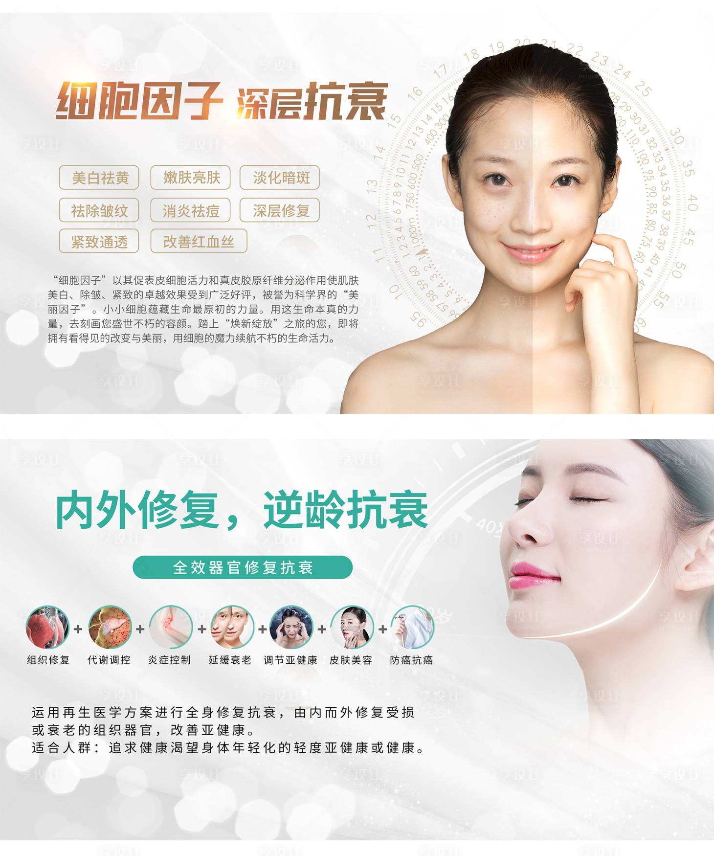 源文件下载【享设计】搜索编号：12350023617609916【面部抗衰海报展板】