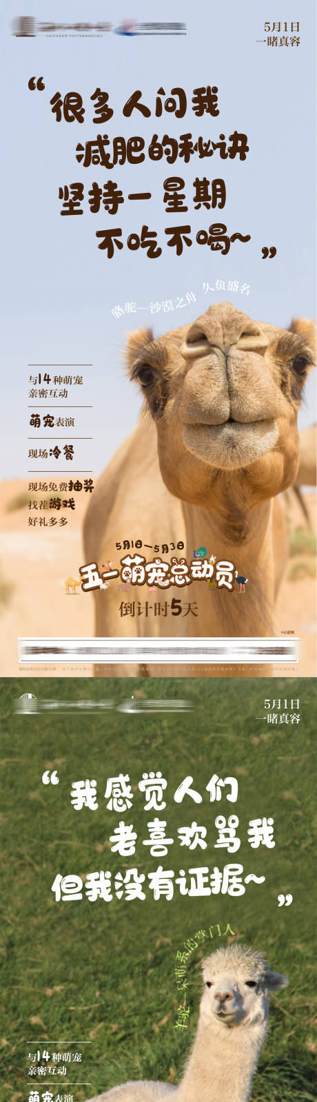 源文件下載【享設計】搜索編號：77280023021566777【萌寵展活動倒計時系列海報】