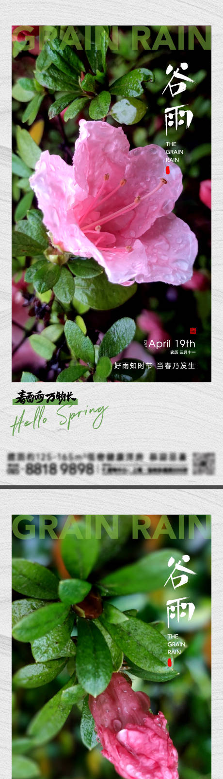 源文件下载【谷雨节气海报】编号：93320023260897684