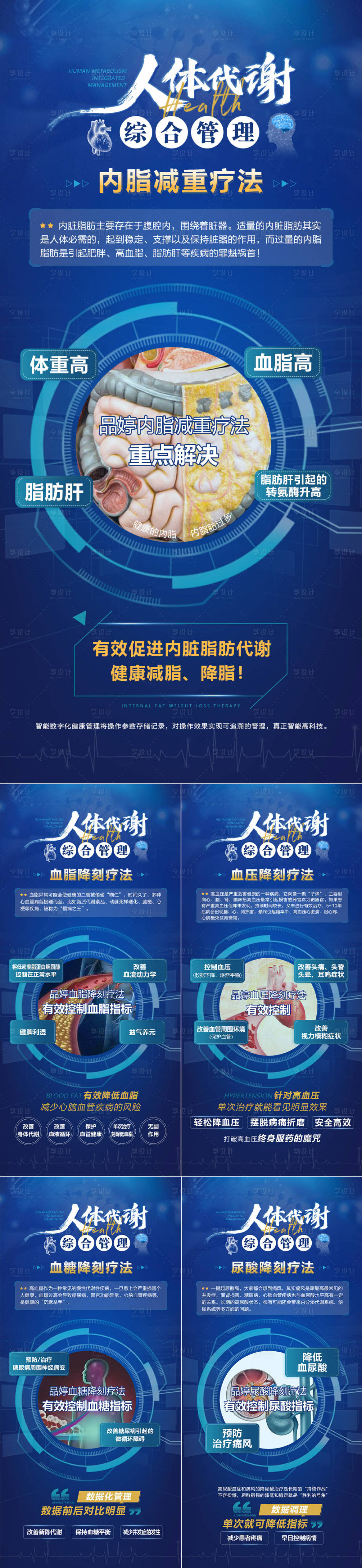 源文件下载【享设计】搜索编号：26180023352328351【人体代谢 】