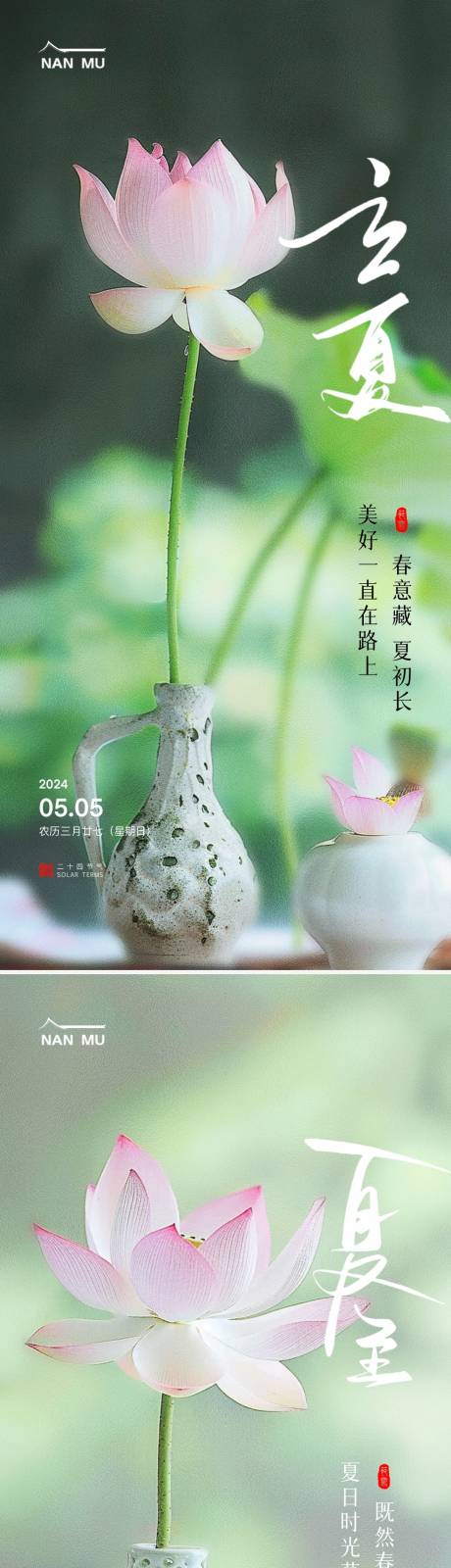源文件下载【地产立夏夏至节气荷花海报】编号：14970023549517117