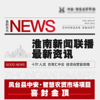 政策新闻海报AI 设计素材和海报模板免费下载-享设计