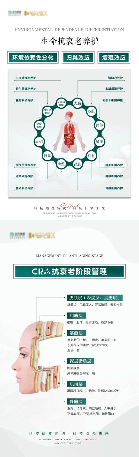 源文件下载【生命抗衰养护简约海报】编号：13980023260566100