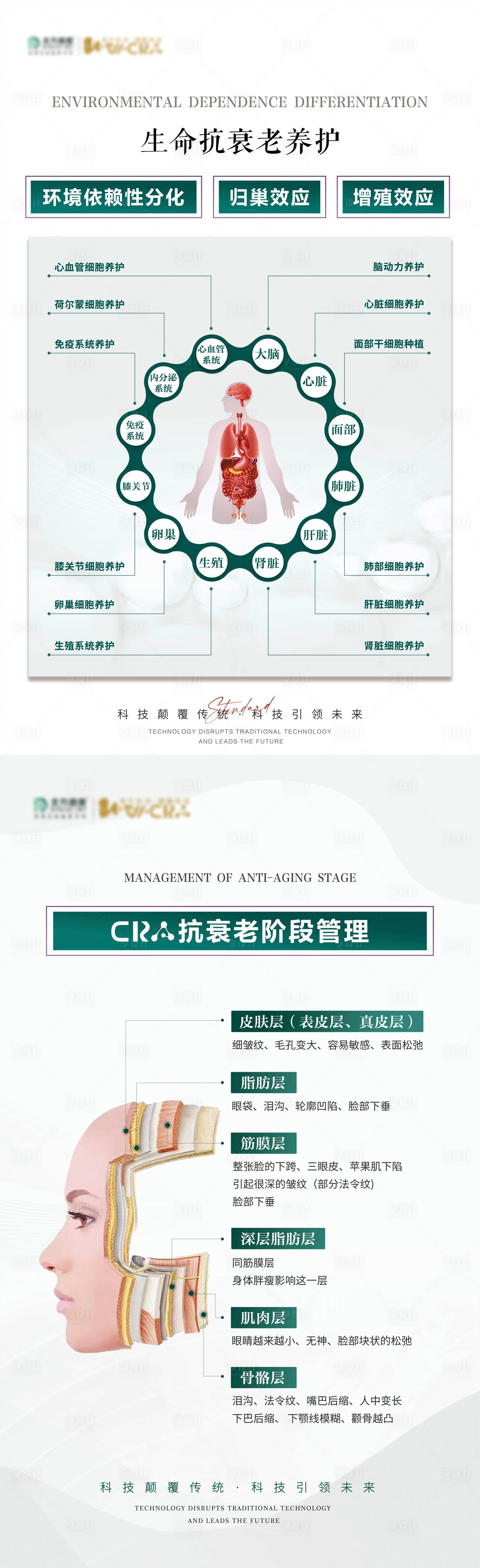 源文件下载【生命抗衰养护简约海报】编号：13980023260566100