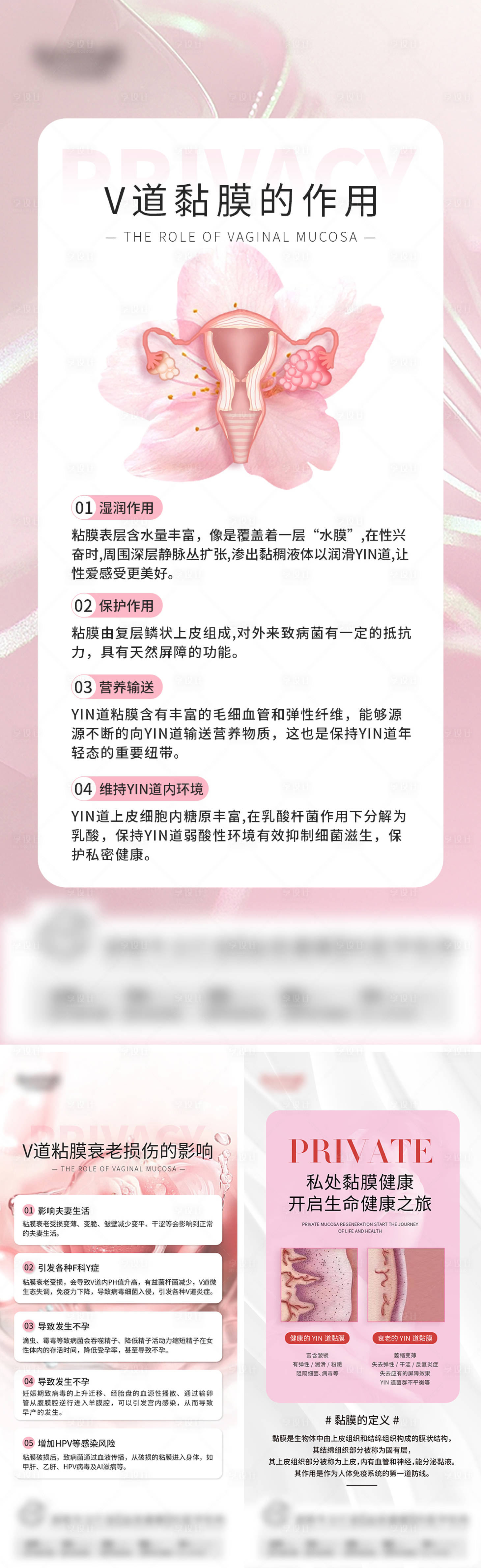 源文件下载【享设计】搜索编号：59000023114868986【私密科普海报】