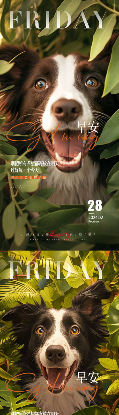 源文件下载【医美早安治愈可爱小狗海报】编号：10660023293125423