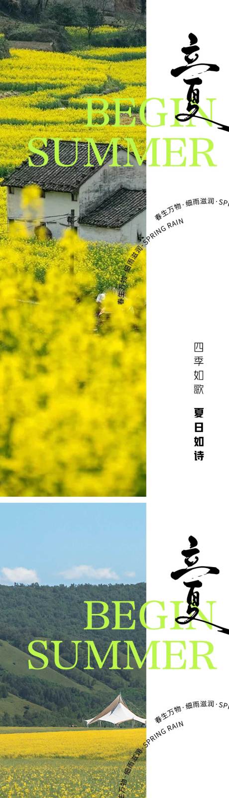 源文件下载【地产油菜花立夏节气海报】编号：72730023296717880