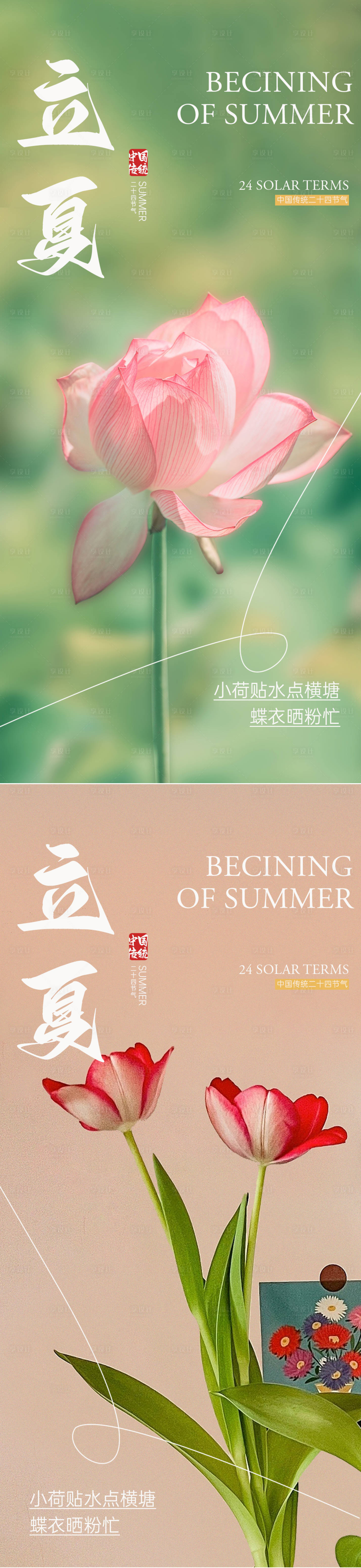 源文件下载【立夏节气荷花系列海报】编号：62250023569398748