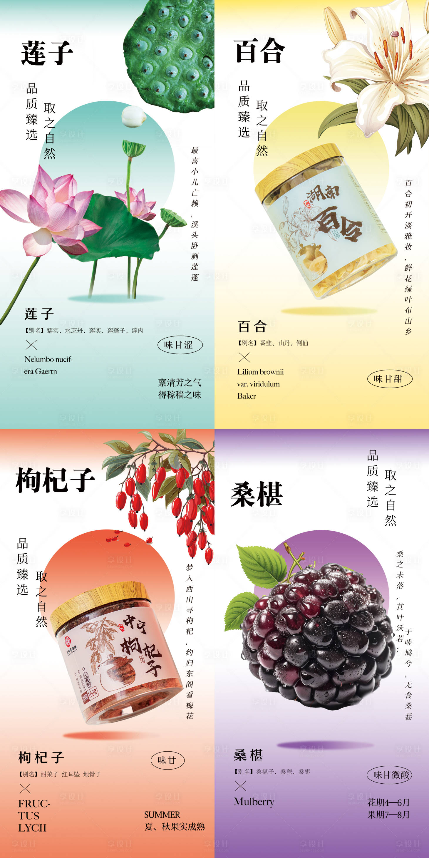 源文件下载【享设计】搜索编号：30770023172128899【莲子百合桑葚枸杞草本产品系列海报】