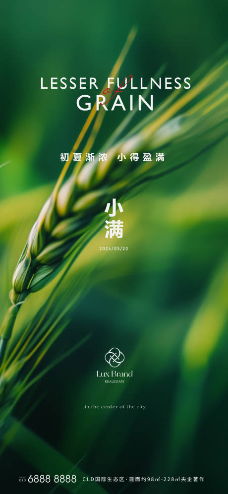 源文件下载【小满节气海报】编号：31380023949554122