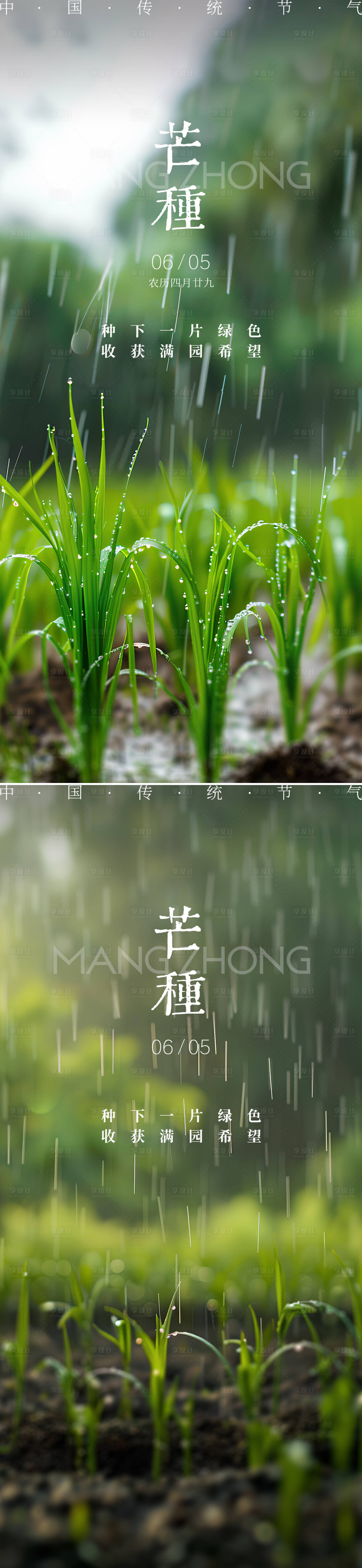 源文件下載【芒種節(jié)氣海報】編號：68640024255462192