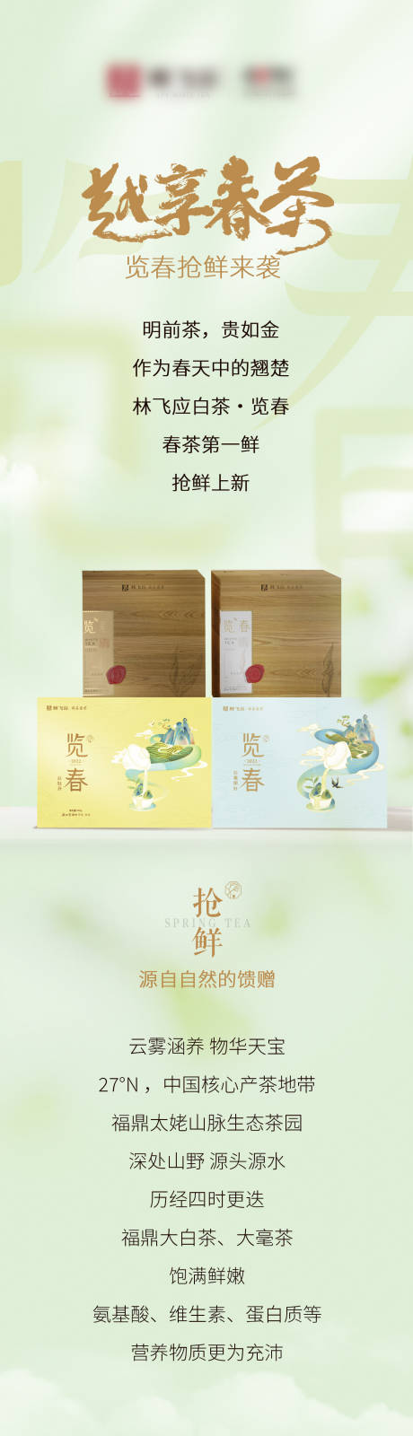 编号：45710024069858496【享设计】源文件下载-春茶简约产品长图海报