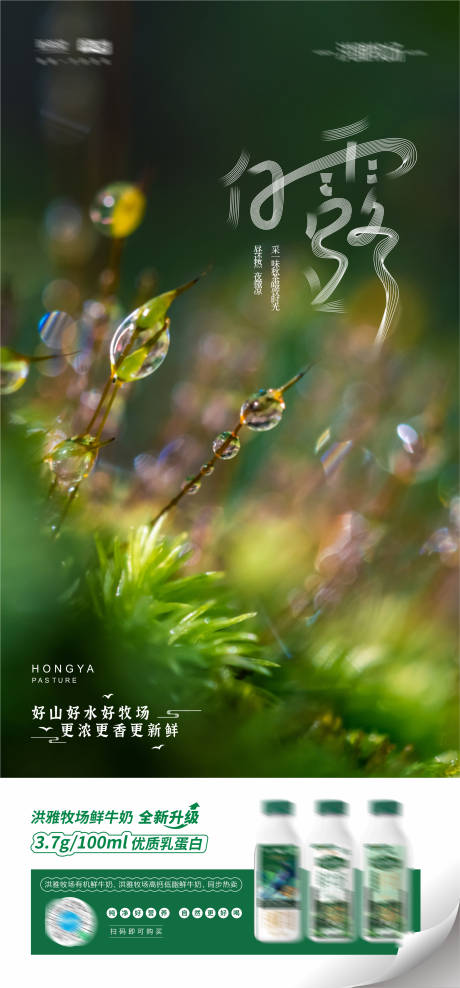 源文件下载【白露节气艺术海报】编号：57950024029077636