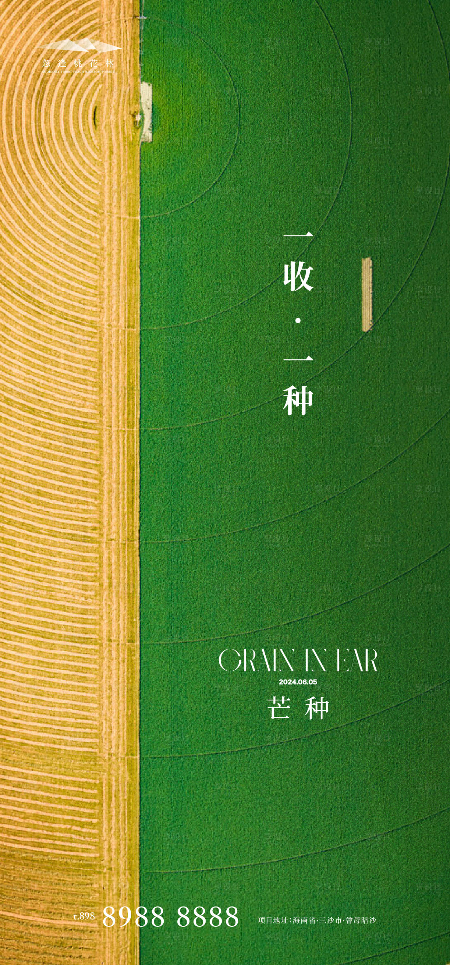 源文件下載【享設計】搜索編號：45880024209726930【芒種節氣移動端海報】