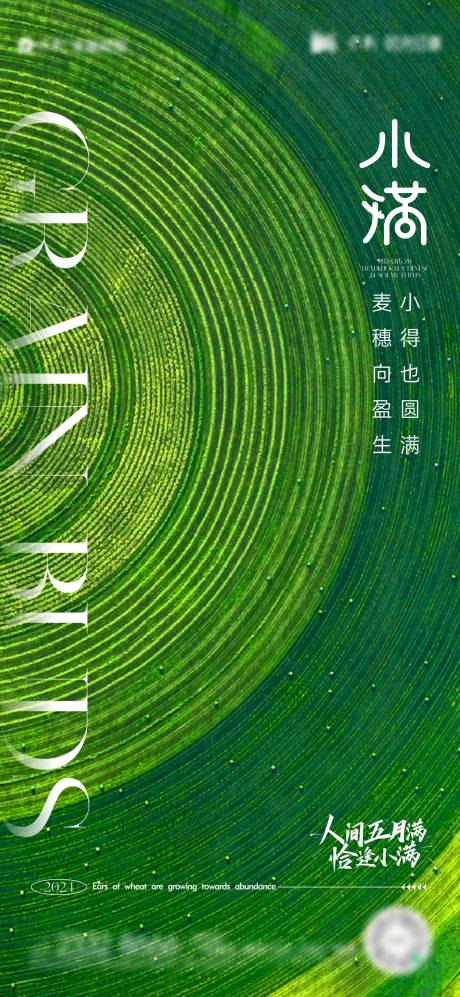 源文件下載【小滿節氣海報】編號：39890023793325619
