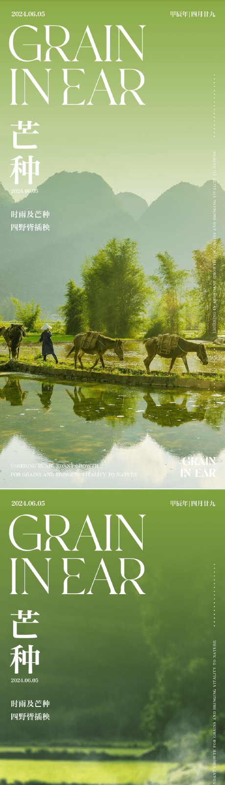 源文件下载【二十四节气芒种海报】编号：89070024171652079