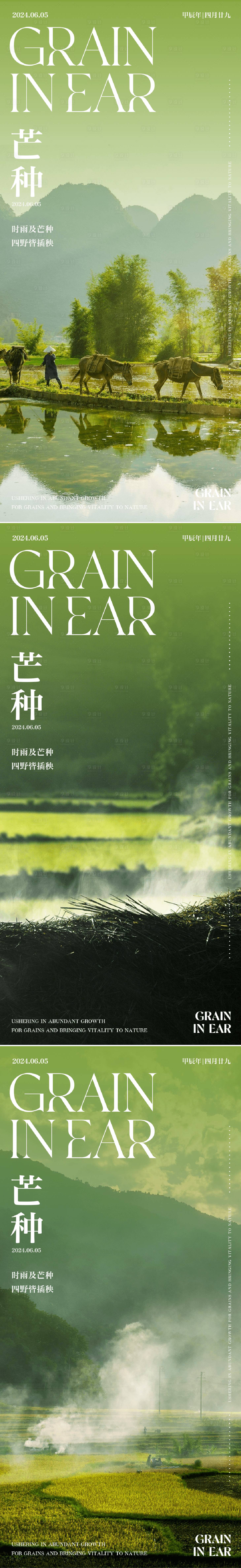 源文件下载【享设计】搜索编号：89070024171652079【二十四节气芒种海报】