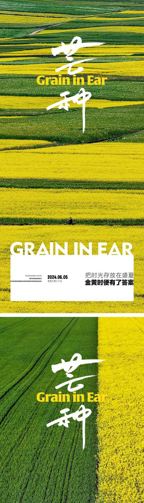 源文件下载【享设计】搜索编号：79840023930128004【芒种节气海报】