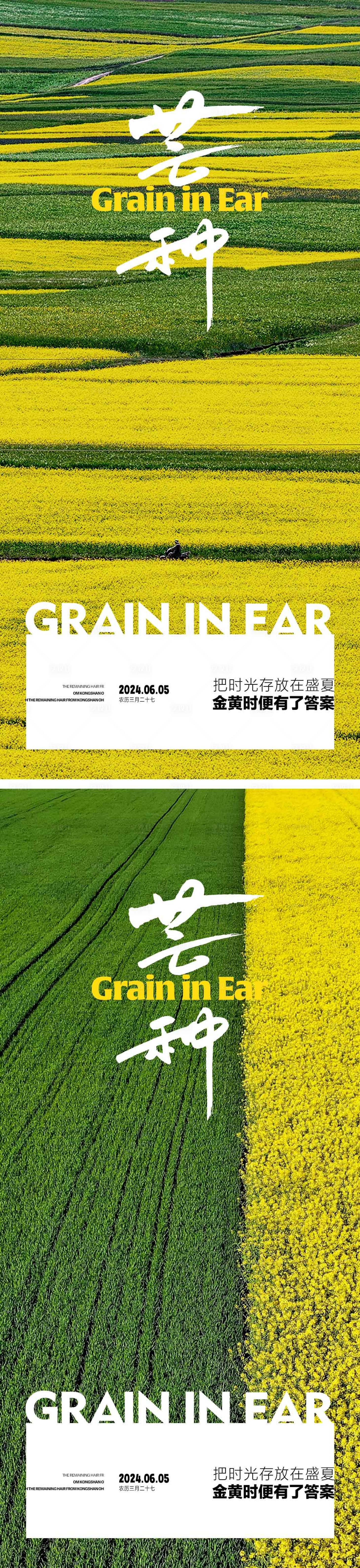 源文件下載【享設計】搜索編號：79840023930128004【芒種節氣海報】