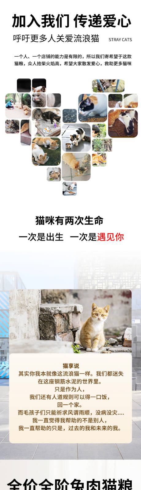 源文件下载【流浪猫猫粮促销电商详情页】编号：54000023941583900