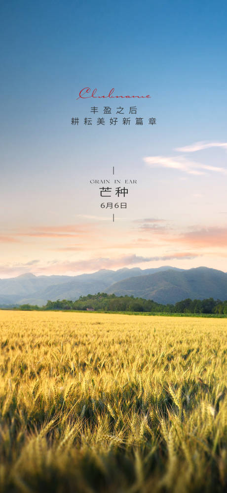 源文件下载【芒种节气海报】编号：92420024120688339