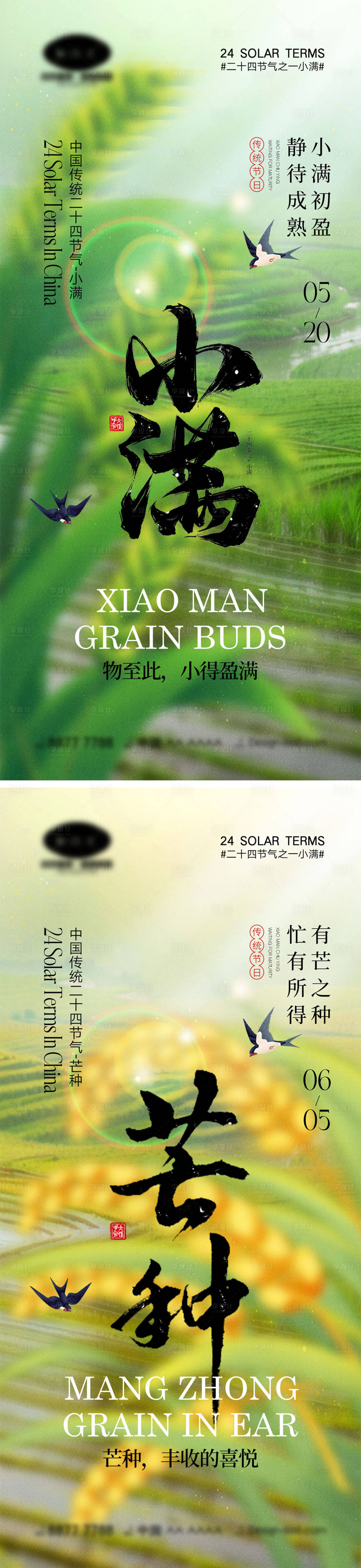 源文件下载【小满节气海报】编号：55660023703815420