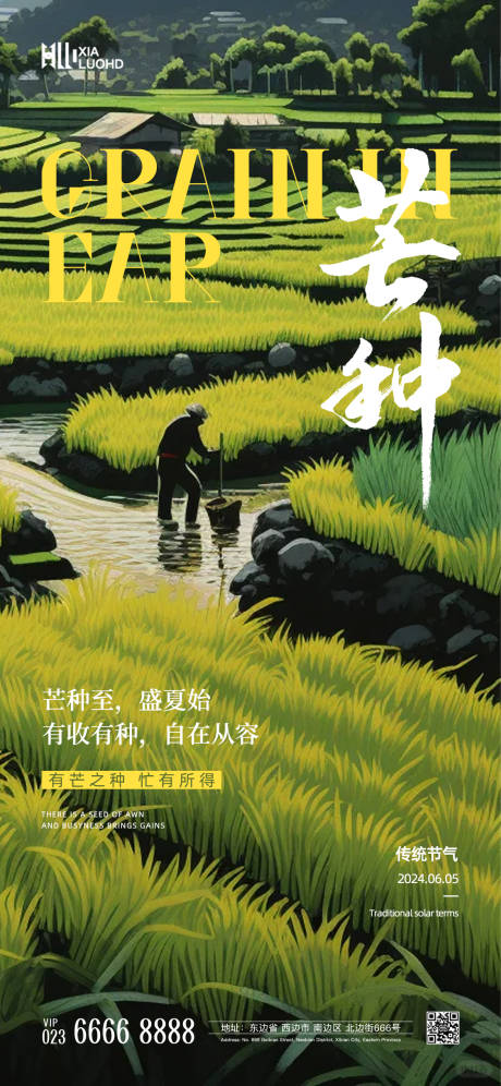 源文件下载【芒种节气海报】编号：43180024088676722