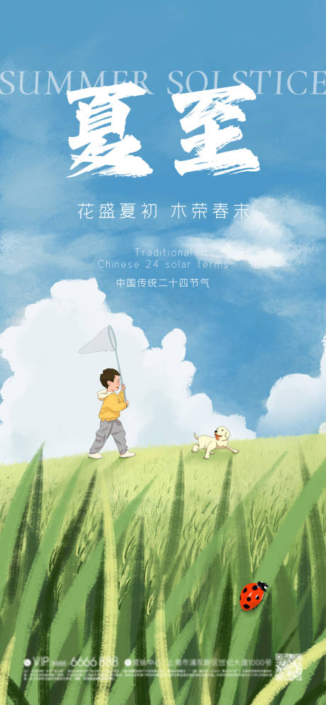 源文件下载【夏至节气海报】编号：72300023969853397