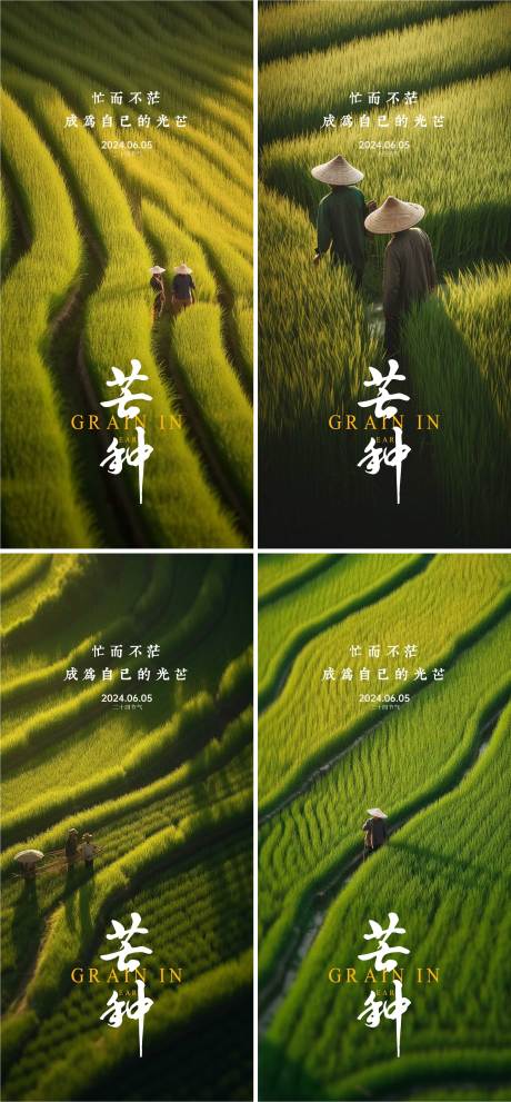 源文件下載【芒種節氣海報】編號：63280023857784797