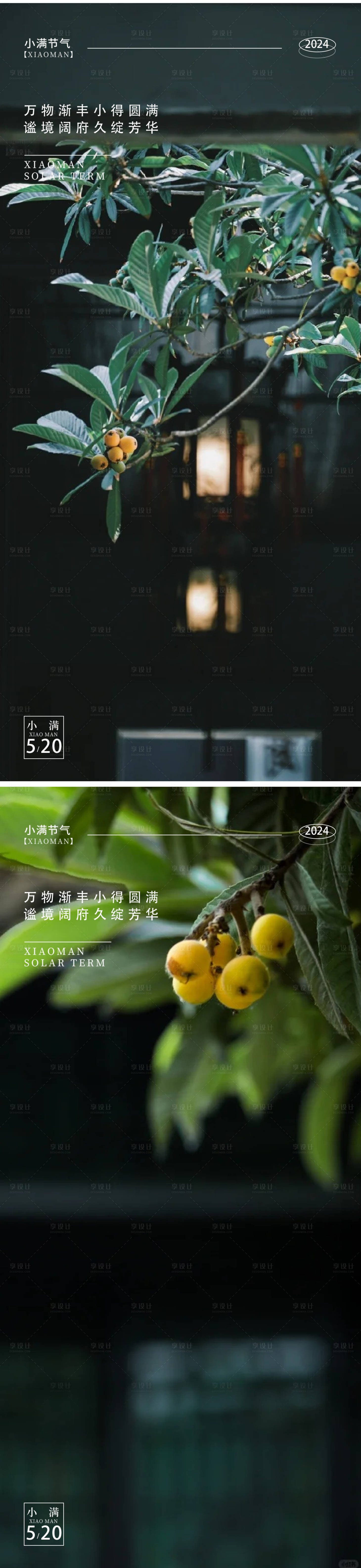源文件下載【享設計】搜索編號：52530023748881444【小滿枇杷節氣海報】