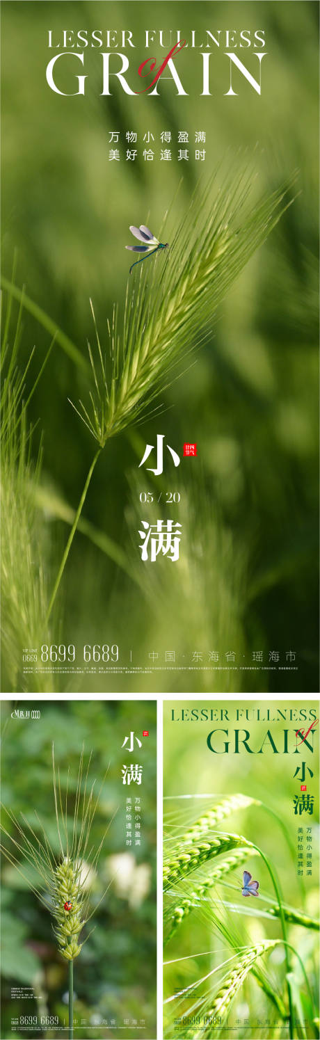 源文件下载【小满节气海报】编号：89030023683565884