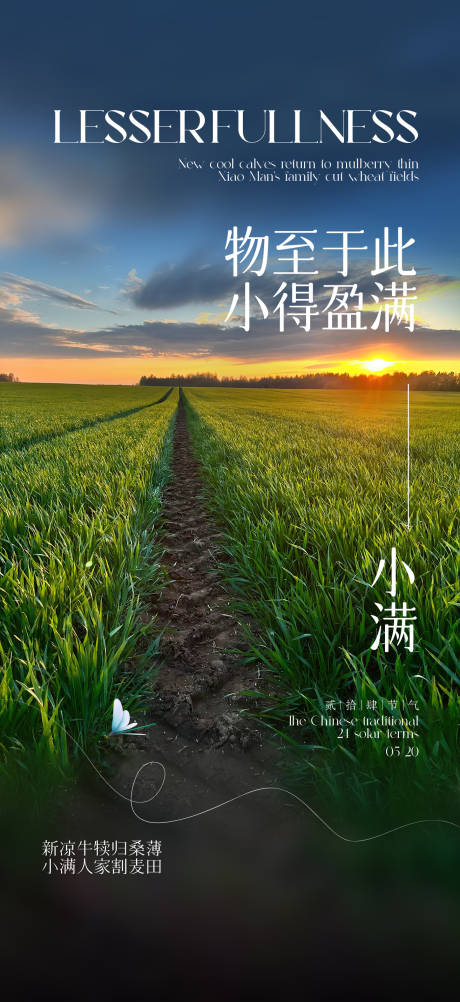 源文件下载【小满节气海报】编号：61680023908585980