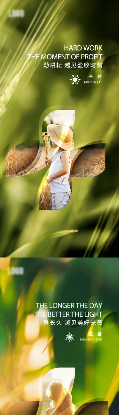 源文件下载【芒种夏至节气海报】编号：22130024172695556