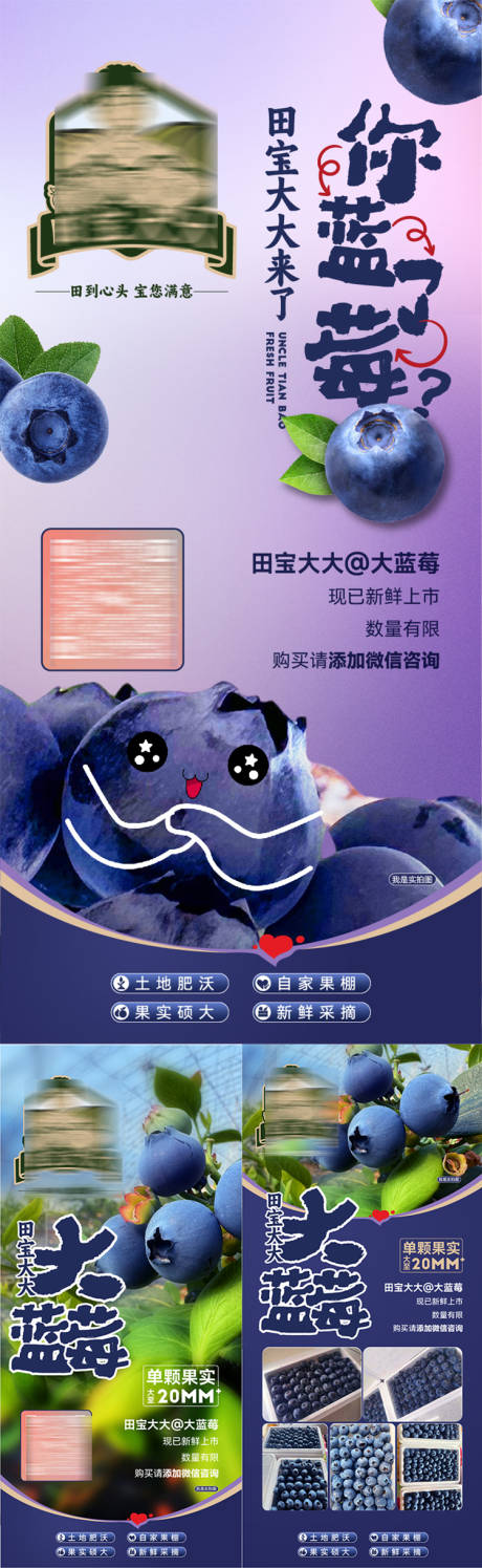 水果蓝莓大棚采摘宣传活动海报