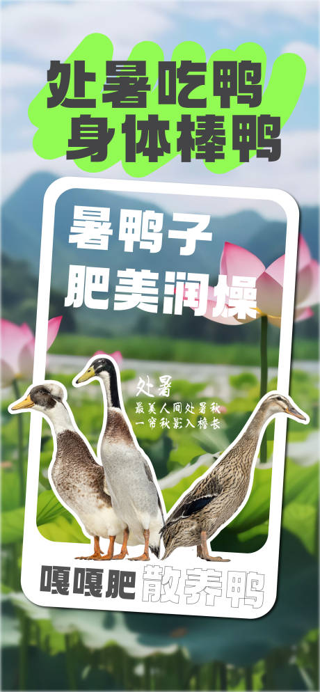 源文件下载【享设计】搜索编号：86900023673107678【处暑吃鸭宣传海报】