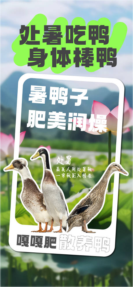 编号：86900023673107678【享设计】源文件下载-处暑吃鸭宣传海报