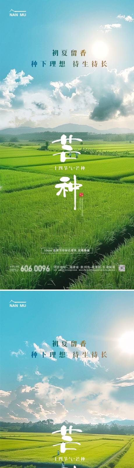 源文件下载【地产芒种唯美海报】编号：81800024247892203