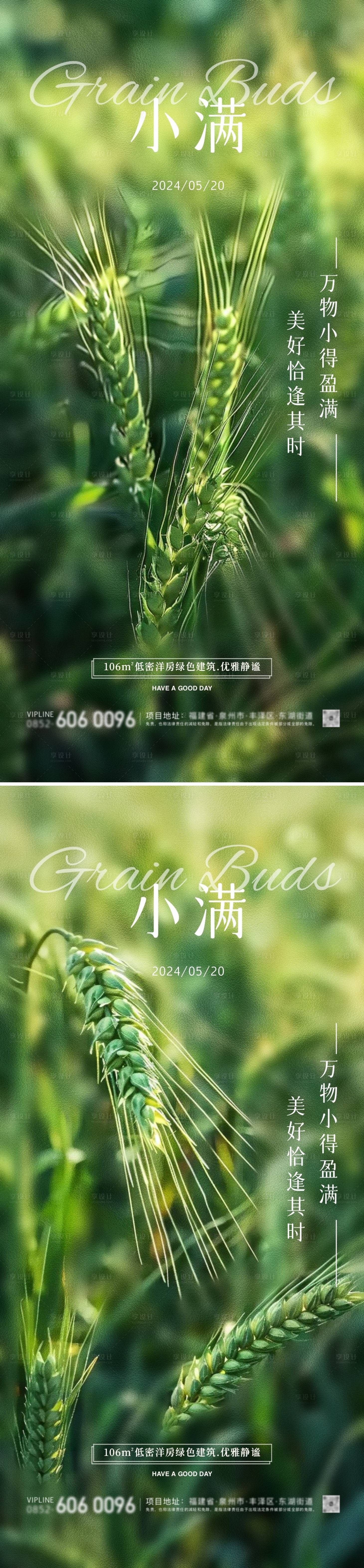 源文件下載【享設計】搜索編號：31160023839438898【房地產小滿節氣麥穗海報】