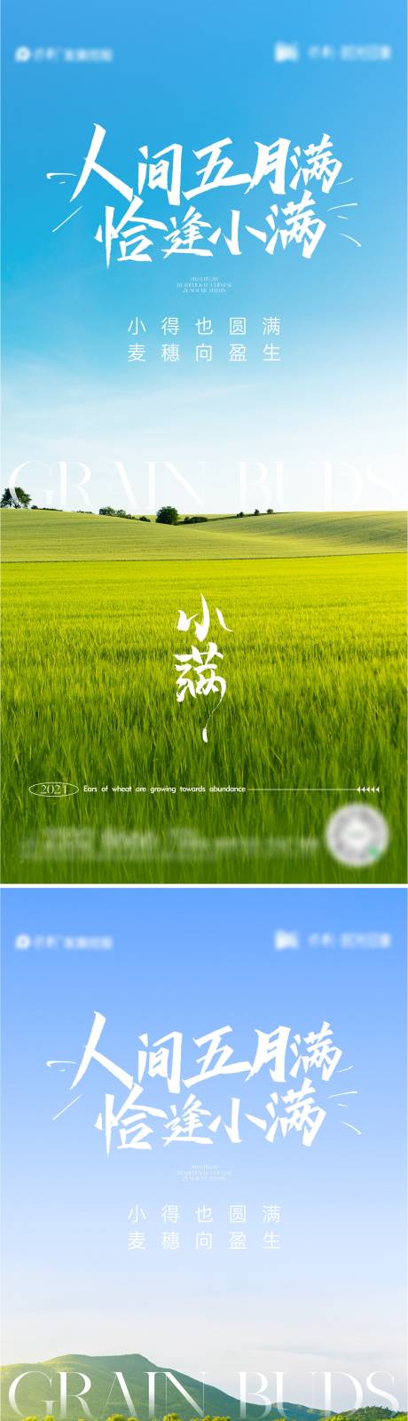 源文件下载【小满节气系列海报】编号：80570023766929420