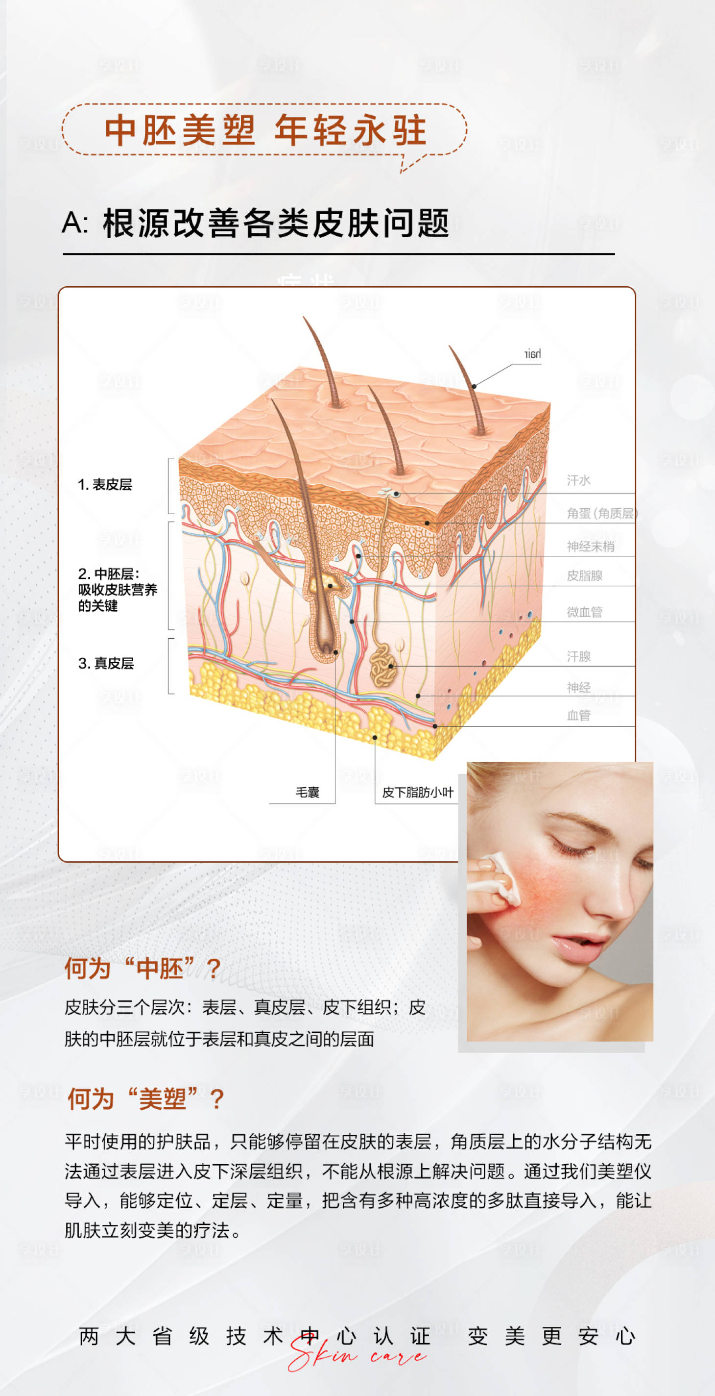 源文件下载【享设计】搜索编号：40890024034827284【医美中胚祛皱补水皮肤结构图宣传海报】