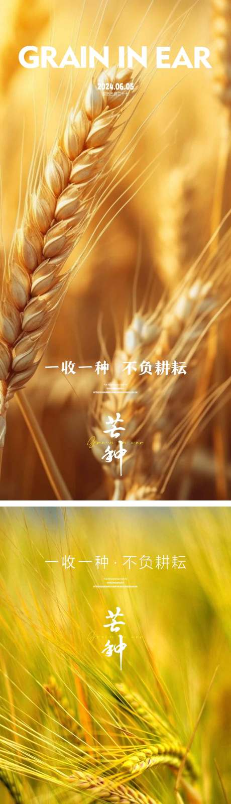 源文件下載【享設(shè)計(jì)】搜索編號(hào)：30730023910441741【芒種節(jié)氣海報(bào)】