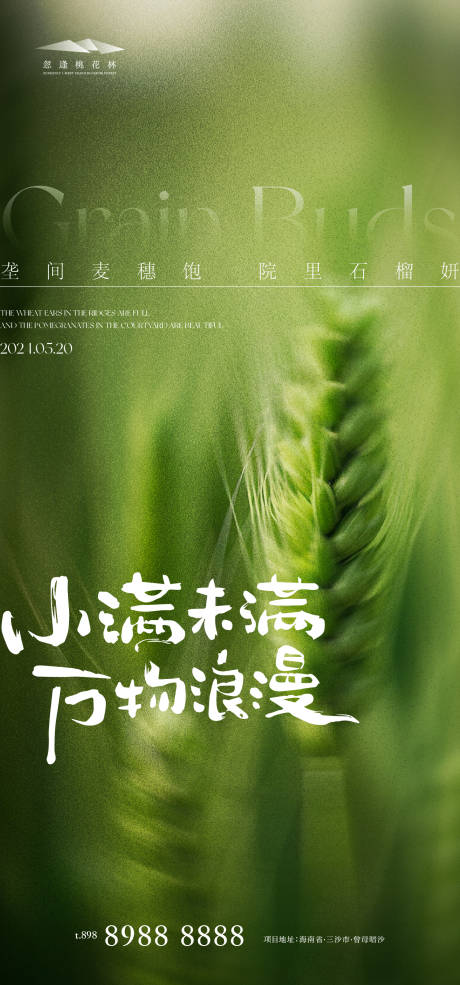 源文件下載【小滿海報】編號：98970023914017263