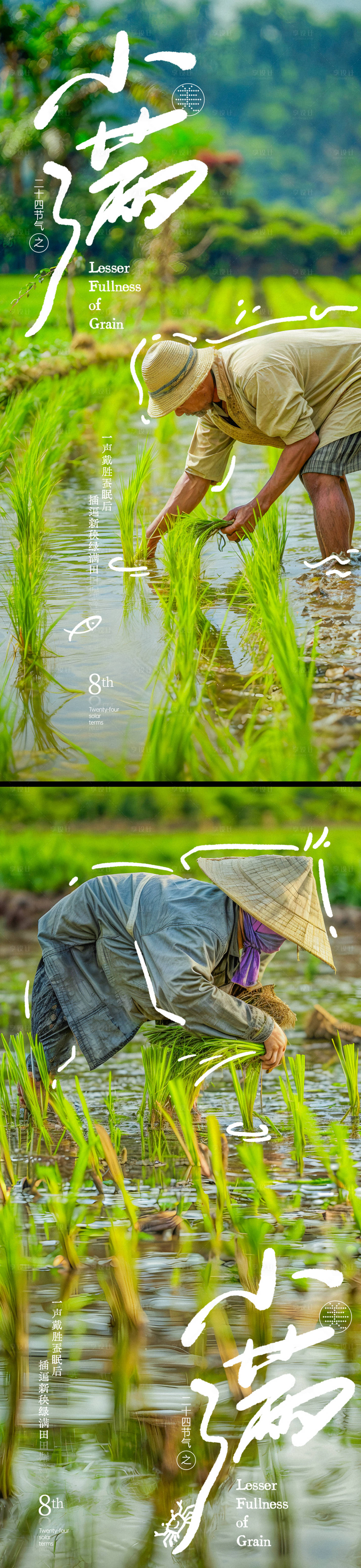 源文件下載【享設計】搜索編號：73320023649417513【小滿節氣插秧系列海報】